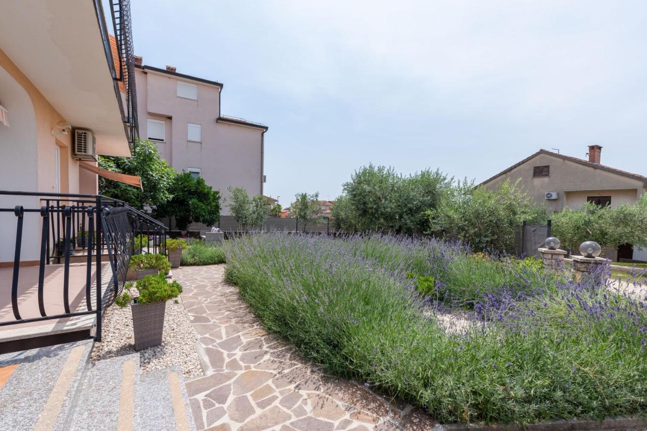 Apartment Masha Novigrad  Zewnętrze zdjęcie
