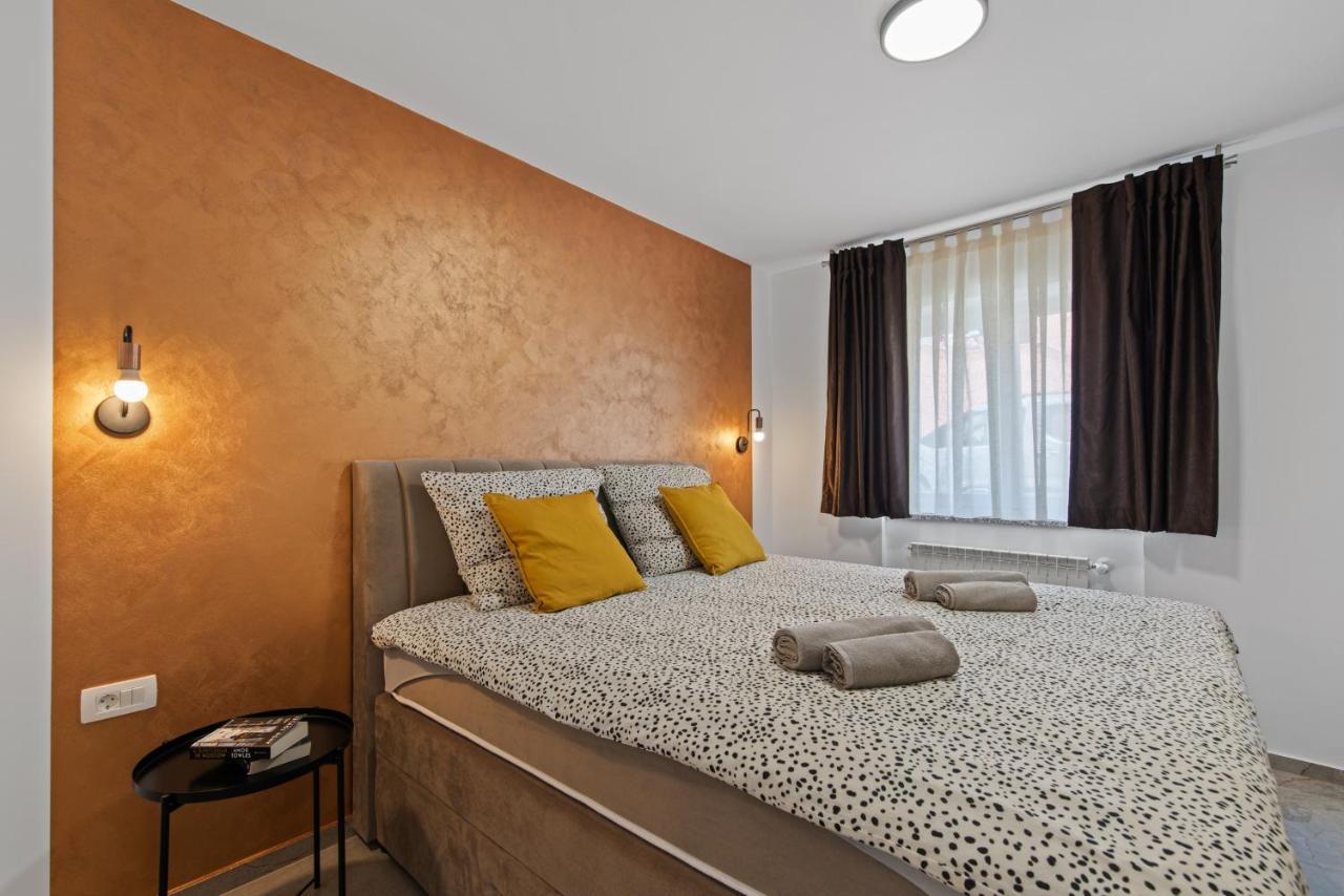 Apartment Masha Novigrad  Zewnętrze zdjęcie