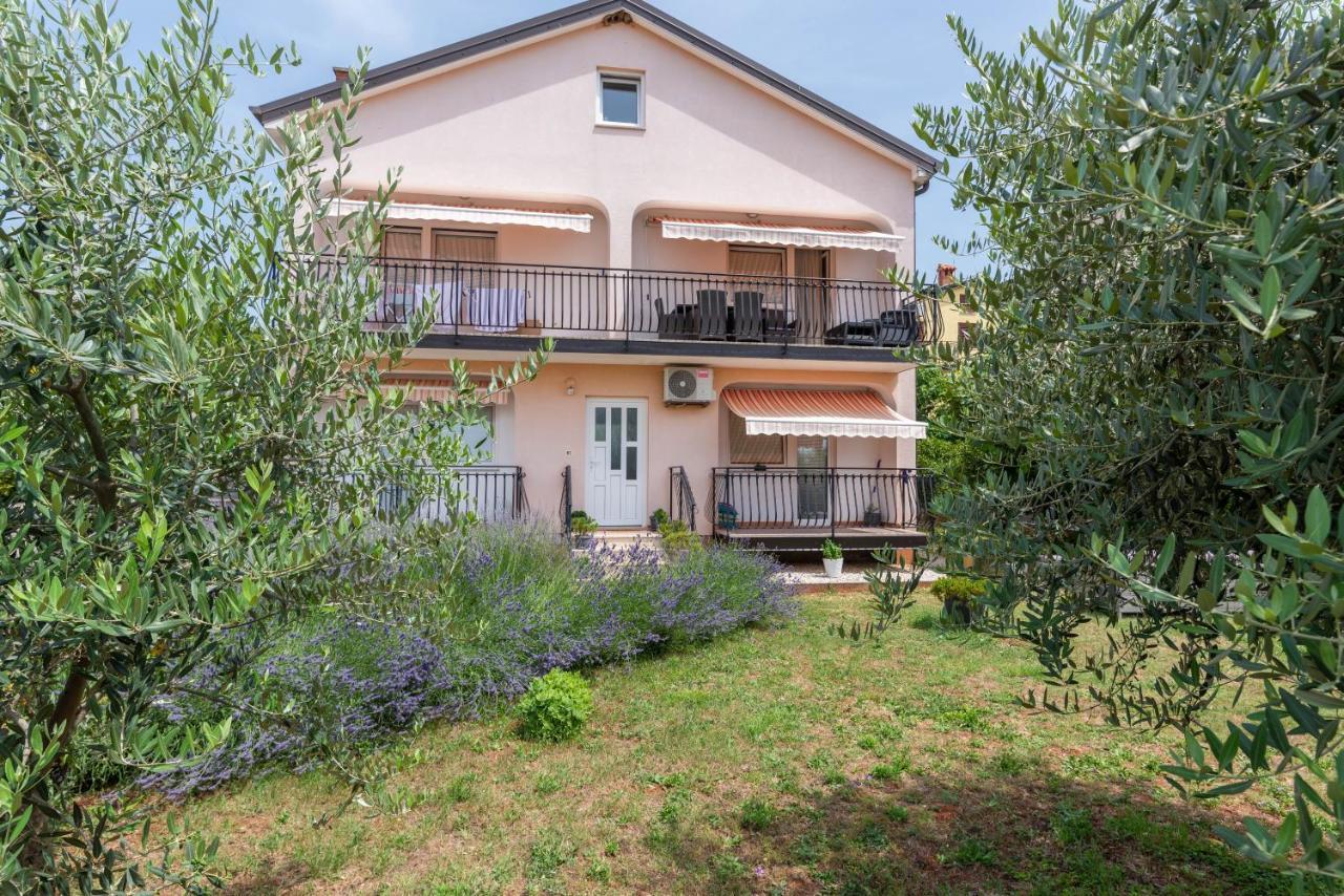 Apartment Masha Novigrad  Zewnętrze zdjęcie